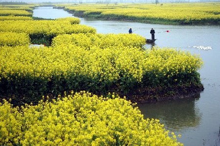 Las zonas del sur de China están cruzadas de lagos y ríos y el clima es suave y húmedo. En la foto, campos de cultivo en Xinghua, provincia de Jiangsu, a principios de la primavera.