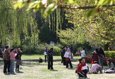 La primavera es una pintura, una canción. En la foto, residentes de Beijing divirtiéndose y tomando fotos en un parque.