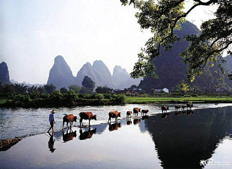 Guilin 16