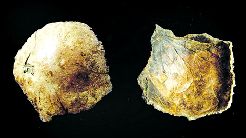 Se descubre calavera humana de 100.000 años 1