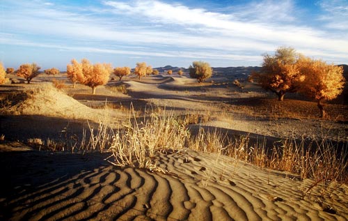 Los desierto más hermosos4