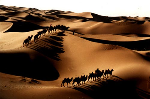Los desierto más hermosos10