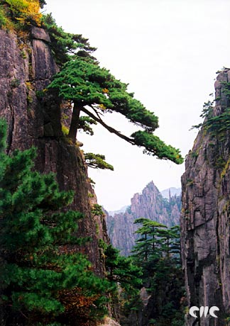 Las montañas más hermosas de China9