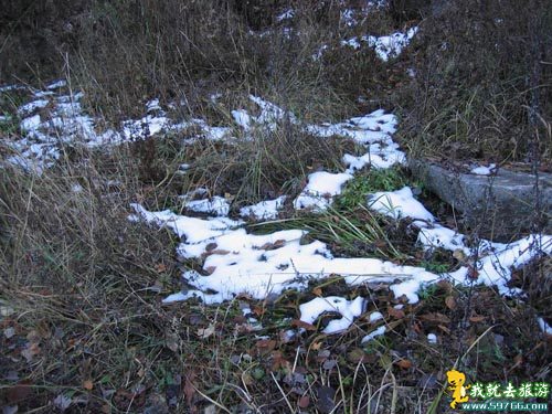 Beijing 2008: Beijing aprueba nuevo parque forestal para Juegos Olímpicos 3