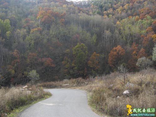 Beijing 2008: Beijing aprueba nuevo parque forestal para Juegos Olímpicos 4