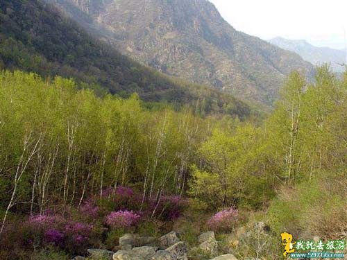 Beijing 2008: Beijing aprueba nuevo parque forestal para Juegos Olímpicos 8