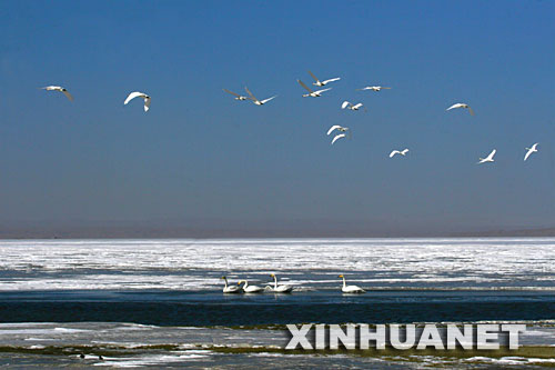 El hermoso lago de Qinghai2