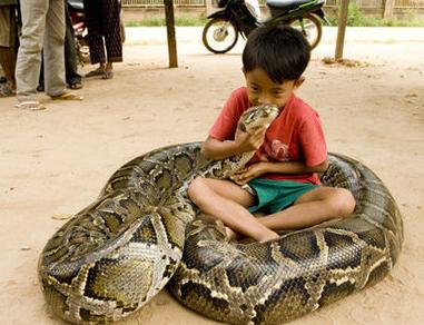 Niño acompañado por serpiente pitón 1