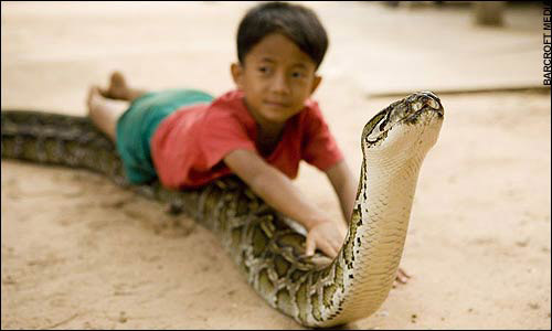 Niño acompañado por serpiente pitón 3