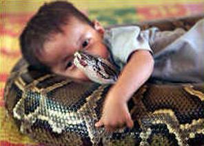 Niño acompañado por serpiente pitón 4