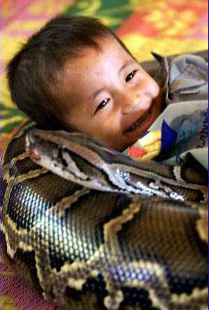 Niño acompañado por serpiente pitón 5