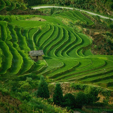 Los lugares más hermosos en China 10