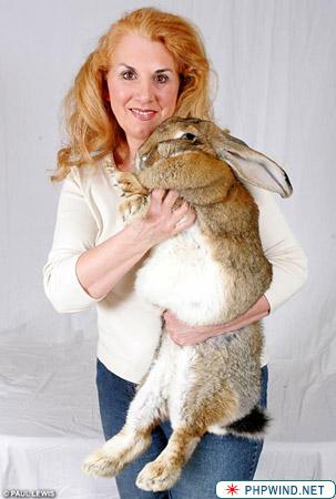 El conejo más grande del mundo 1