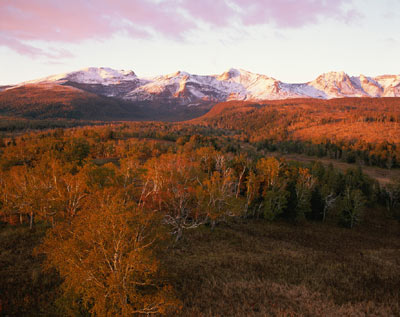 Los 10 bosques hermosos de China1