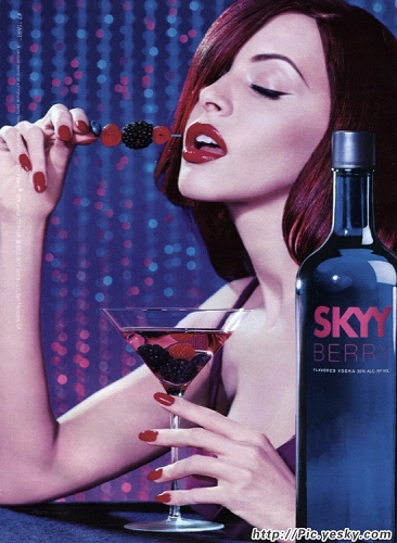 Skyy Vodka 6