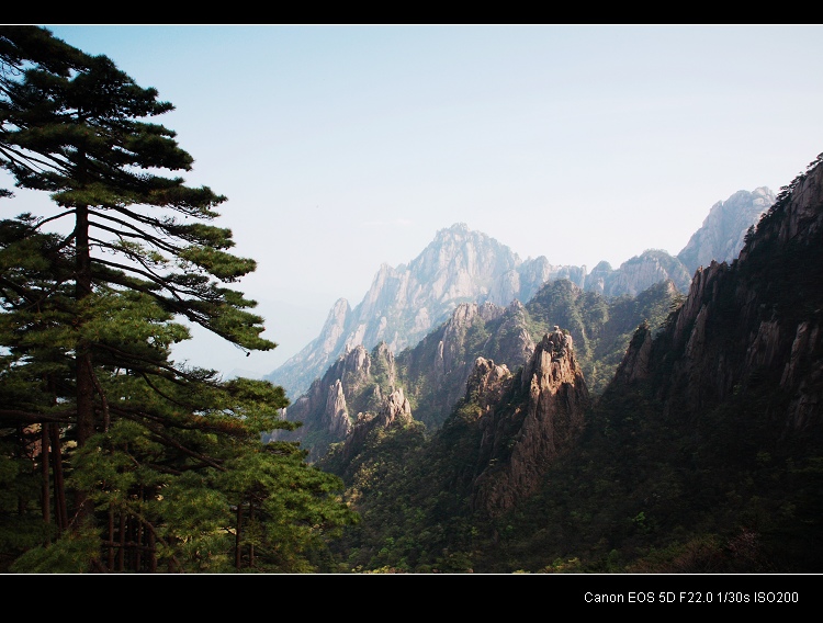 Las Montañas Amarillas (Huangshan) 8