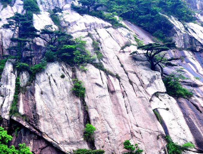 Las Montañas Amarillas (Huangshan) 16