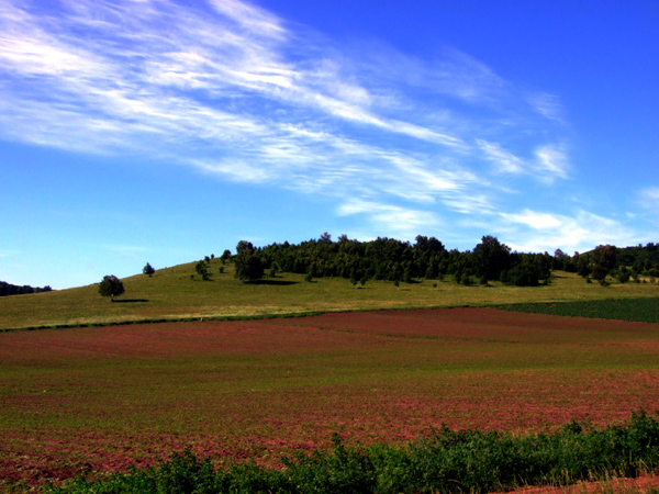 Pradera Bashang en Mulan Weichang 26