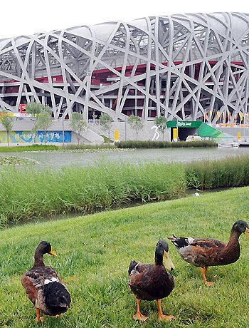 Un Beijing Verde recibe a los amigos del mundo 4