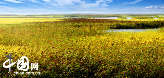 Paisaje encantador en Humedales Panjin 16