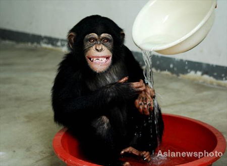 Animales en zoo se refrescan 1