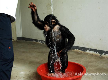 Animales en zoo se refrescan 2