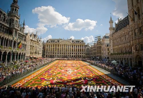 Bélgica presenta expectácular alfombra de begonias1
