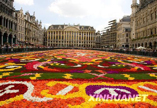 Bélgica presenta expectácular alfombra de begonias2