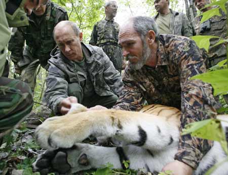 Putin salva a equipo de televisión de un tigre Siberiano 2