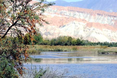 Río Amarillo presenta el otoño en Qinghai5