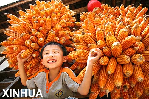 Bellos paisajes de cosecha en la provincia de Guizhou2