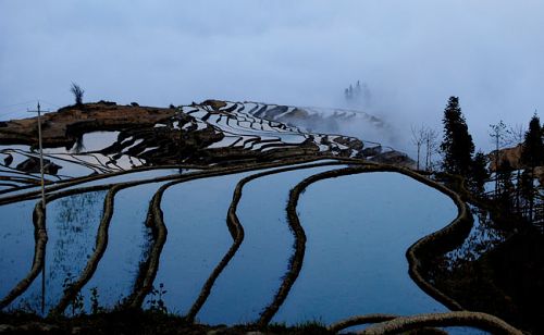 Terrazas en Yuanyang de la provincia Yunnan2