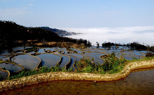 Terrazas en Yuanyang de la provincia Yunnan3