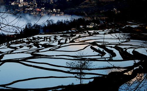 Terrazas en Yuanyang de la provincia Yunnan9