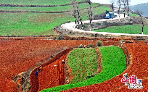 La tierra roja de Dongchuan de la provincia Yunnan2