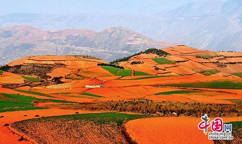 La tierra roja de Dongchuan de la provincia Yunnan4