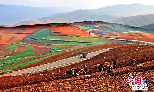 La tierra roja de Dongchuan de la provincia Yunnan5