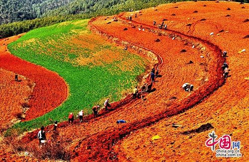 La tierra roja de Dongchuan de la provincia Yunnan7