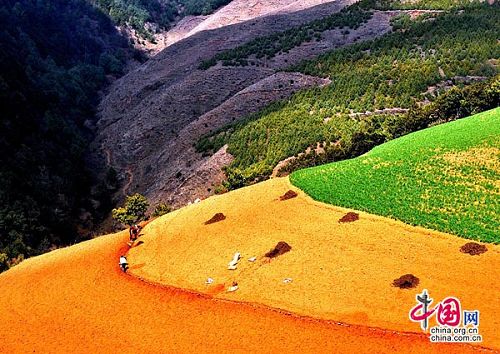 La tierra roja de Dongchuan de la provincia Yunnan8