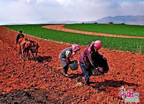 La tierra roja de Dongchuan de la provincia Yunnan9