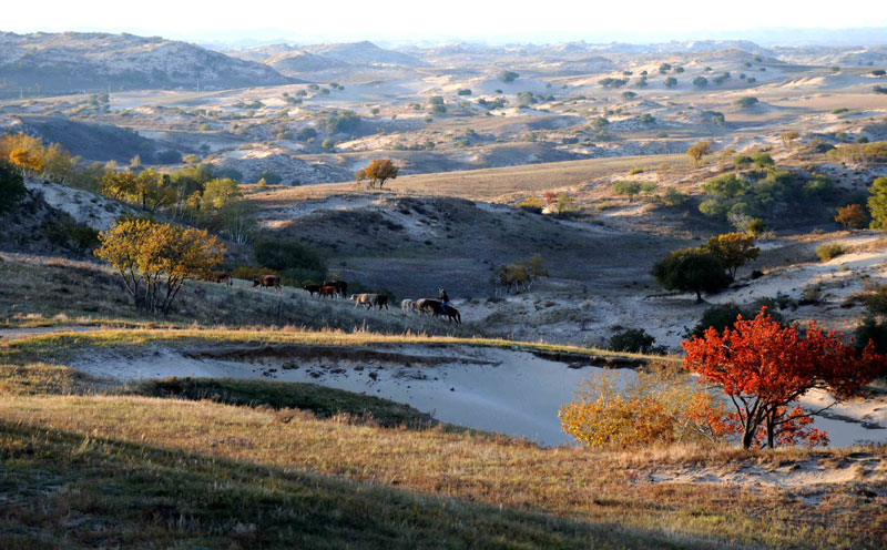 Pradera Bashang en otoño 2