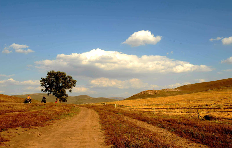 Pradera Bashang en otoño 6