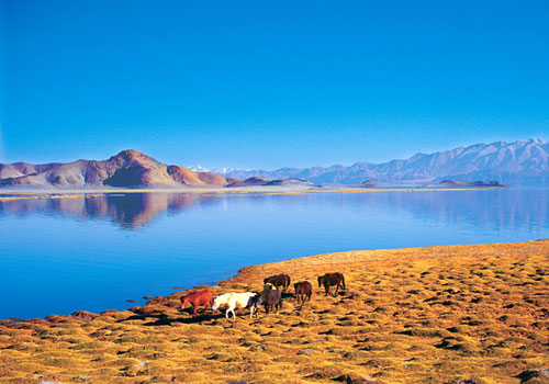 Lago Mapam Yumco, el “Lago Santo” más afamado del mundo 1