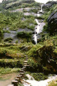 Paisajes naturales y reliquias culturales de la montaña de Wuyi3