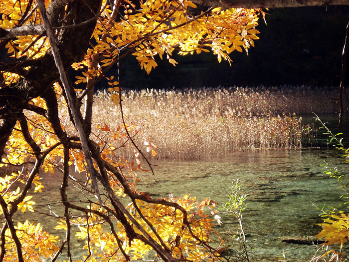 Jiuzhaigou en otoño 5