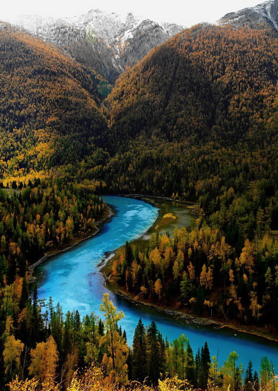 El lago Kanas en otoño 4