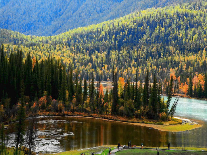 El lago Kanas en otoño 7