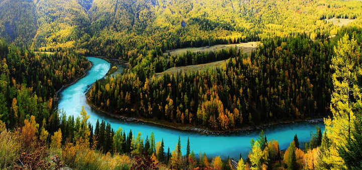 El lago Kanas en otoño 11