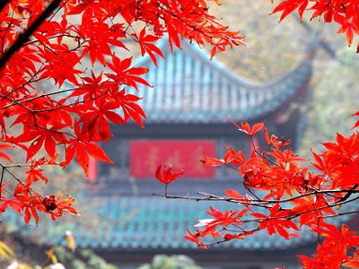 Los 11 lugares más bellos del colorido otoño chino 5