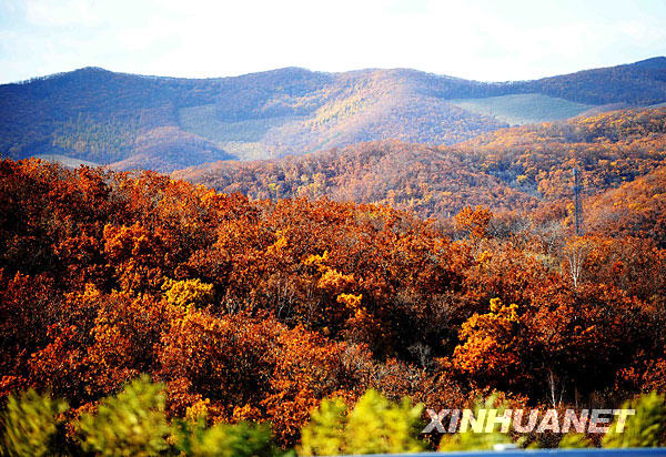 Otoño paisaje turismo China 7